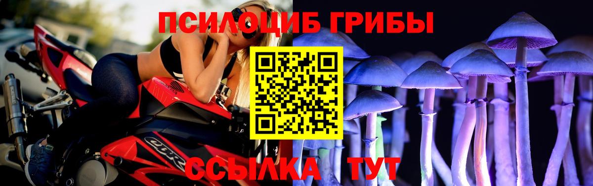 Джанкой  Псилоцибиновые грибы Psilocybine cubensis  Вход с VPN 